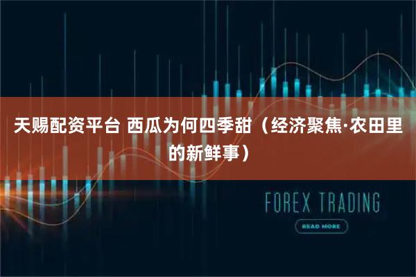 天赐配资平台 西瓜为何四季甜（经济聚焦·农田里的新鲜事）