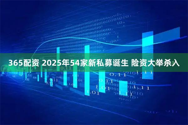 365配资 2025年54家新私募诞生 险资大举杀入